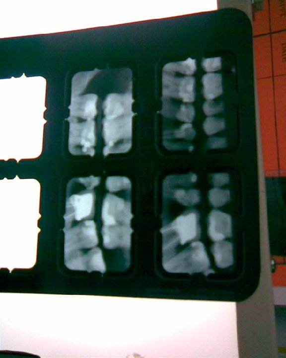 Cam2 (33)